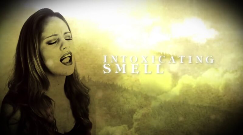 Vandroya - I'm Alive